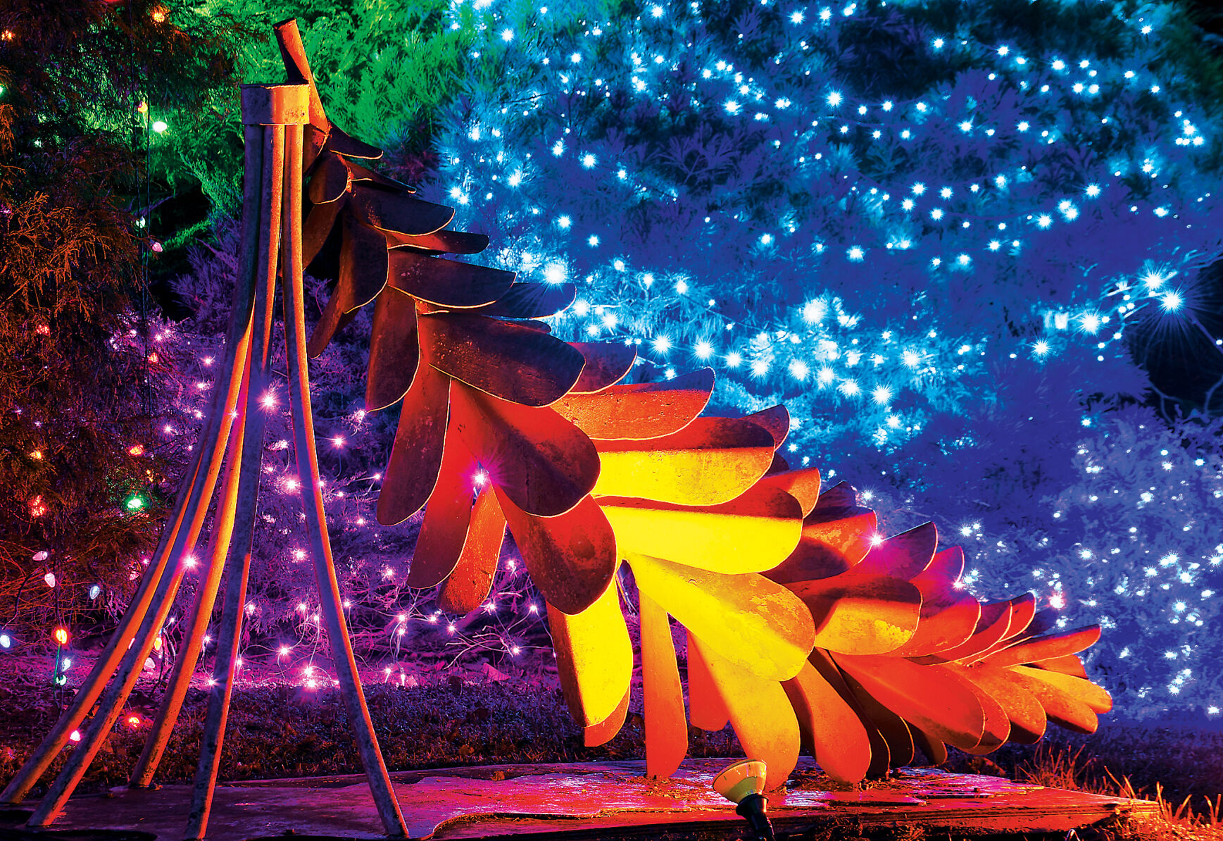 Winter Walk of Light 2020 5